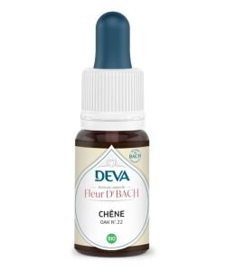 Chêne (Oak - N°22)